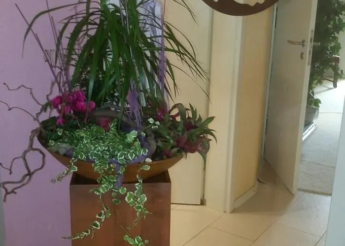 Vollumen Hotel 3*