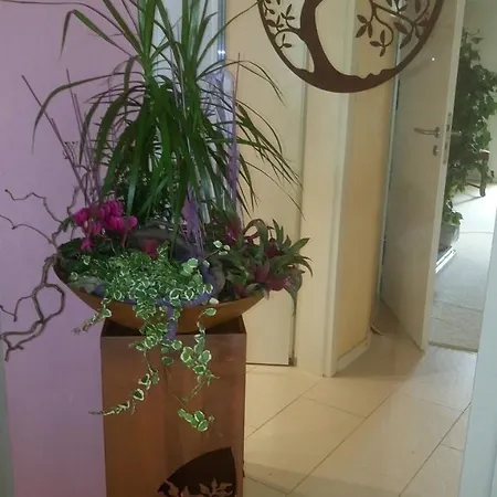 Vollumen Hotel 3*